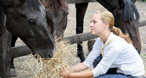 Real World Lessons Learned At A Girls Ranch For Troubled Youth