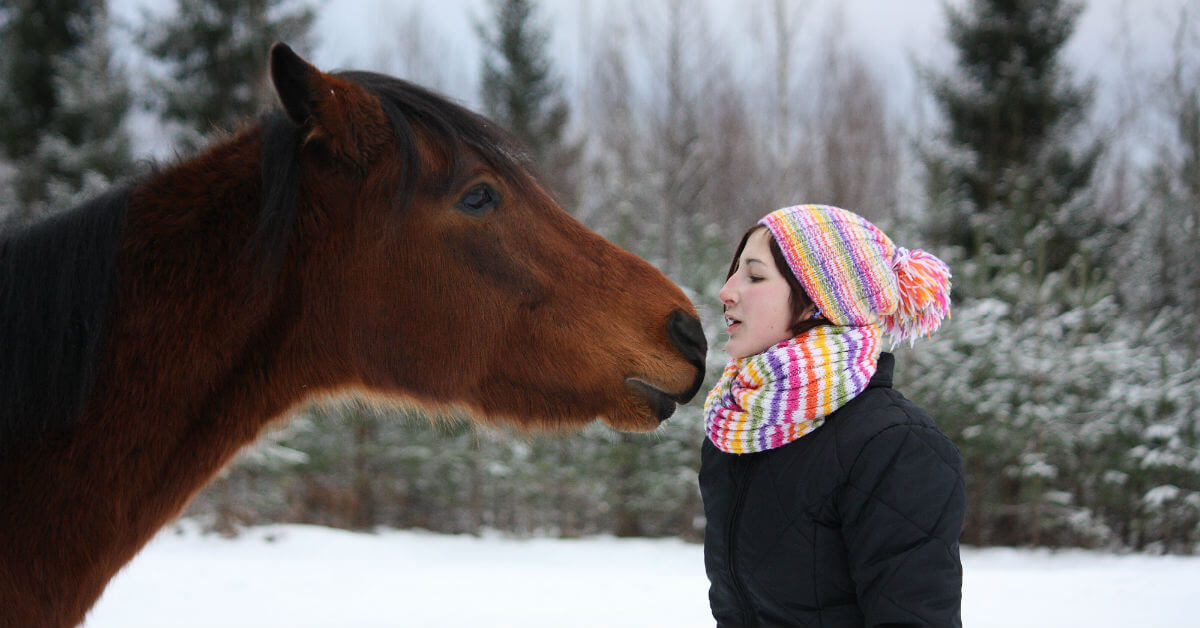 Equine Therapy Can Help Troubled Teens Boys Cope