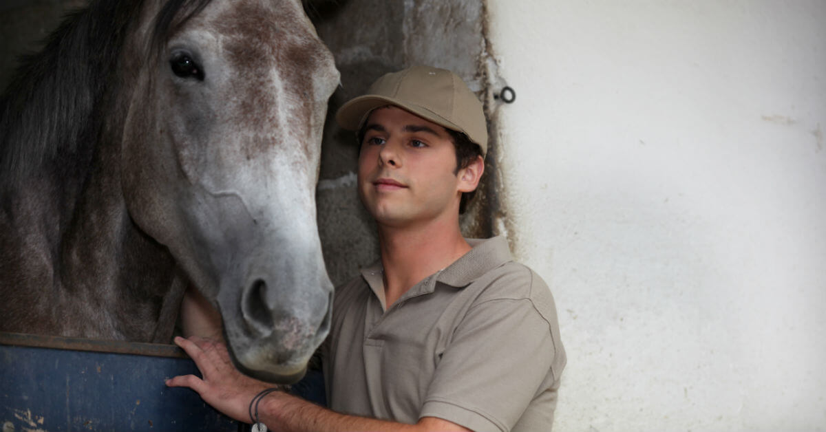 Horses Have An Impact On Troubled Teens