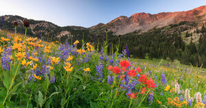 Utah Mountains