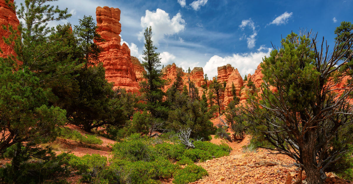 A Therapeutic Approach to Helping Troubled Boys in Utah