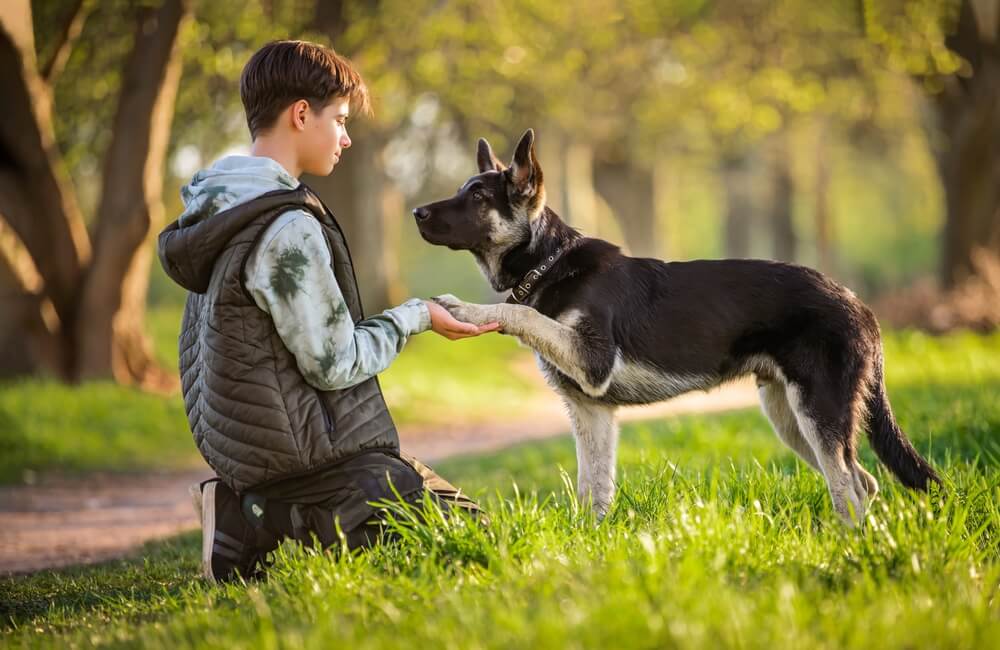 Pets for Teens Improve Mental Health