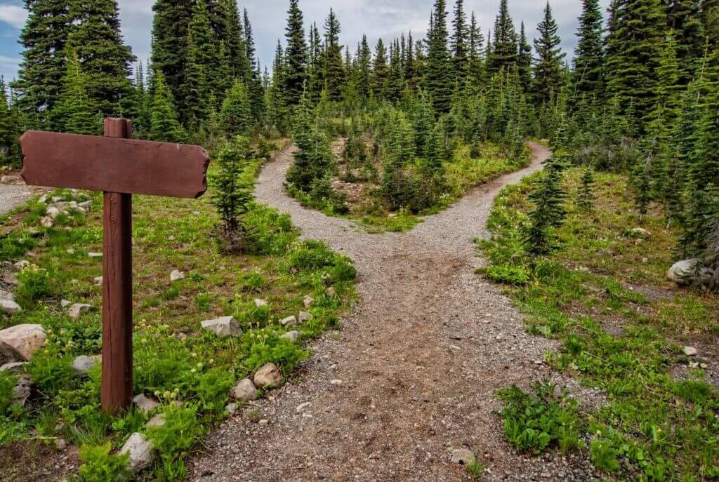 Fork in the road