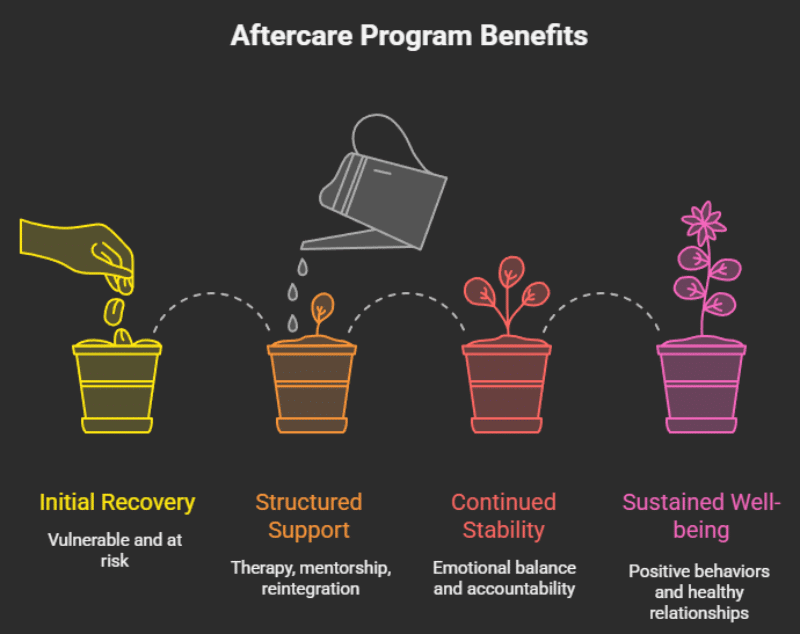 Benefits of Aftercare Programs - visual selection